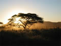 Sundowner, Central Namibia, &copy;Bob Stolfi