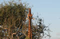 Reach For The Top, Sabi Sand Game Reserve, &copy;Carl Blackstock