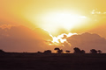 Sunset At Kariega, Kariega Game Reserve, &copy;Candice Lim
