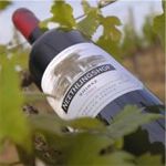 Cape Winelands Zevenwact Winery