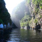 Tsitsikamma National Park