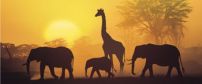 Mobile Safari Adventure Packages