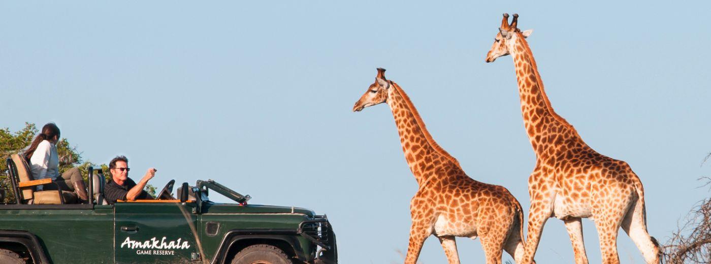 #caption3 Amakhala Game Reserve