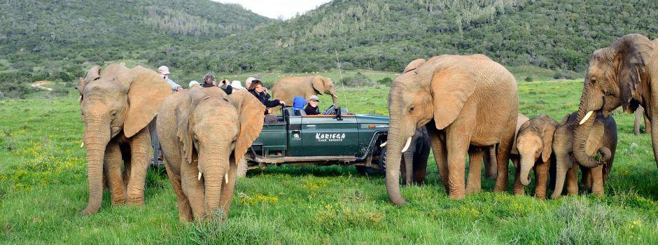 #caption5 Kariega Game Reserve