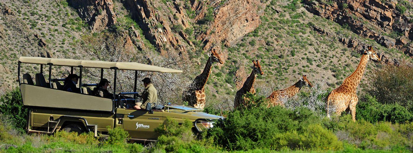 Sanbona Wildlife Reserve