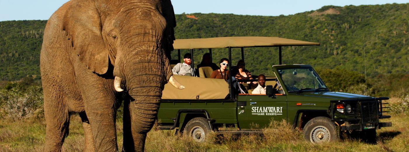 #caption2 Shamwari Game Reserve