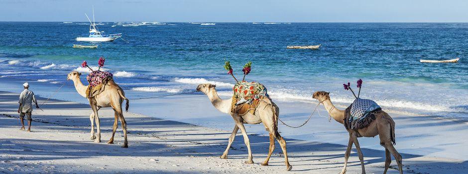 #caption3 The Kenyan Coast