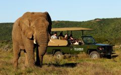 Holiday Highlights of the Eastern Cape