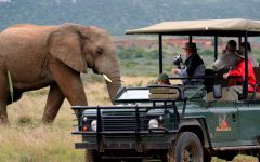Amakhala Game Reserve