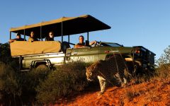 Shamwari Game Reserve
