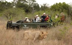 Phinda Game Reserve