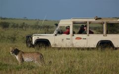 On safari in Kenya