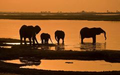 Botswana