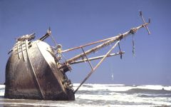 The Skeleton Coast
