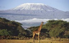 Mount Kilimanjaro