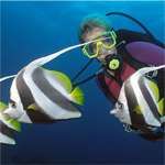 Diving in Durban