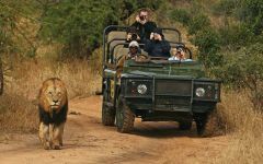 Kruger Park Safaris