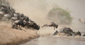 Arriving on Safari in Tanzania