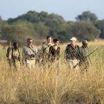 Walking safaris