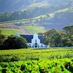 Cape Dutch architecture in the Winelands