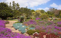 Kirstenbosch Botanical Gardens