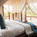 :uxury accommodation in the Madikwe Game Reserve