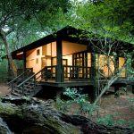 Phinda Forest Lodge