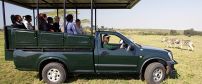 Eastern Cape Safari Special Offers