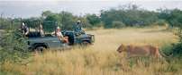 Timbavati