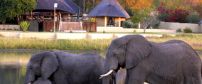 Even cheaper lodges will still get you very close to the animals