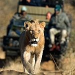 Exciting game viewing