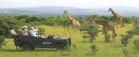 Eastern Cape Safari