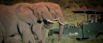 Pumba Private Game Reserve
