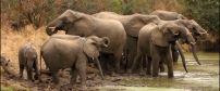 Kruger Special Offers