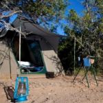 Shamwari Explorer Camp