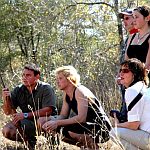 Bush walk