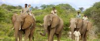 Kapama Game Reserve