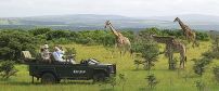 Kariega Game Reserve