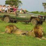 Kariega Game Drive
