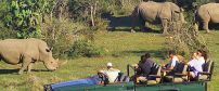 Kariega Game Reserve