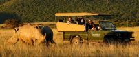 Shamwari Game Reserve