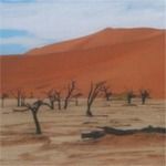 Hidden Vlei