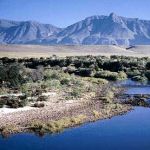 Bontebok National Park