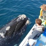 Close encounter