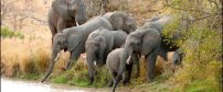 Sabi Sand Game Reserve