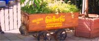 Gold Reef City