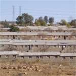 Soweto family units