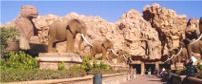 Sun City Entrance 