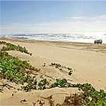 Coastal beaches