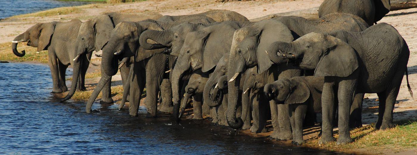 Botswana Safari Holidays